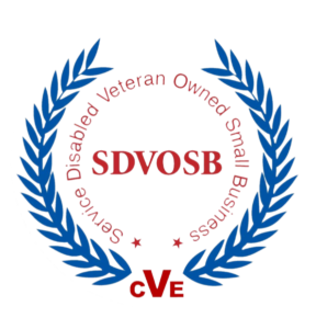 disabled veteran owned small business